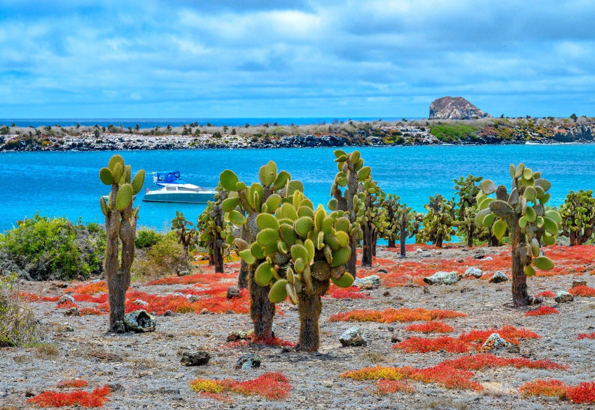 Royal Palm Galapagos, Curio Collection Hotel By Hilton Bellavista  Exterior foto